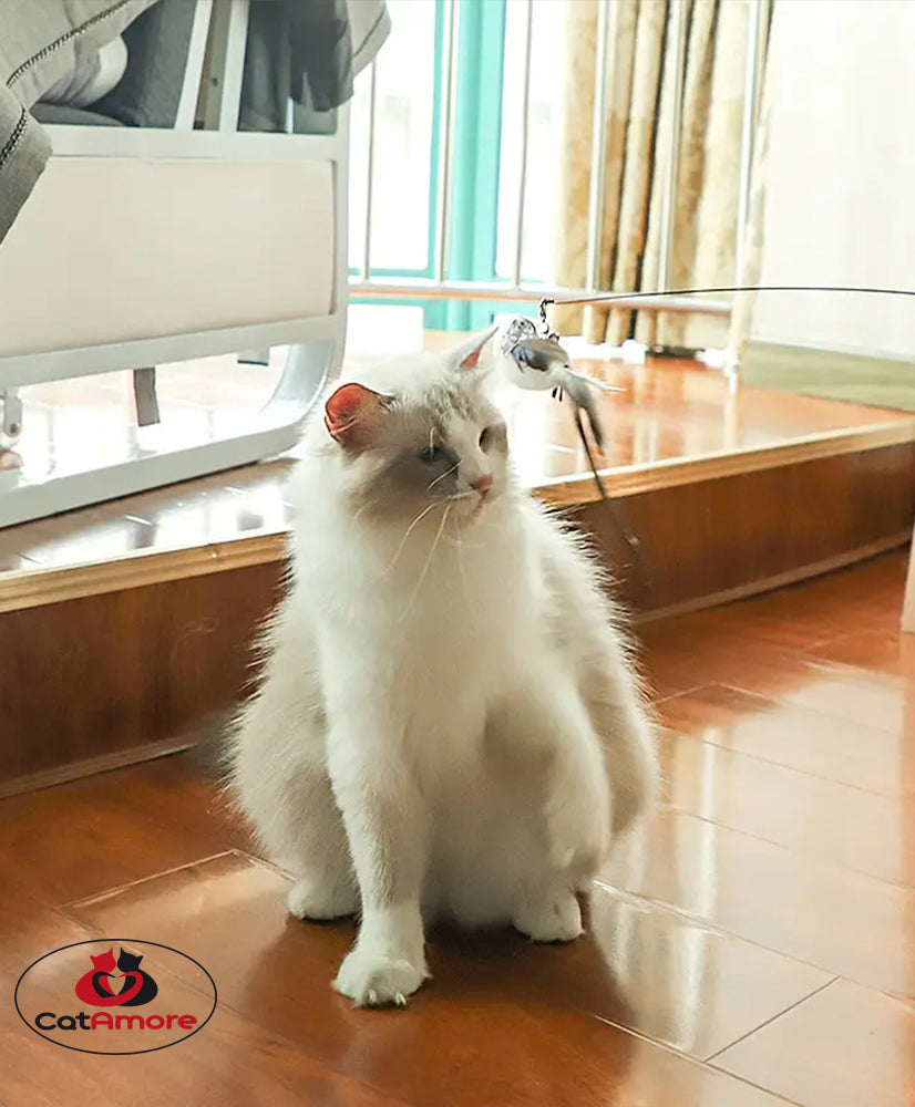 CatAmore interaktive Katzenangel mit Vogel und Saugnapf Spielangel Glöckchen Feder 95 cm lang