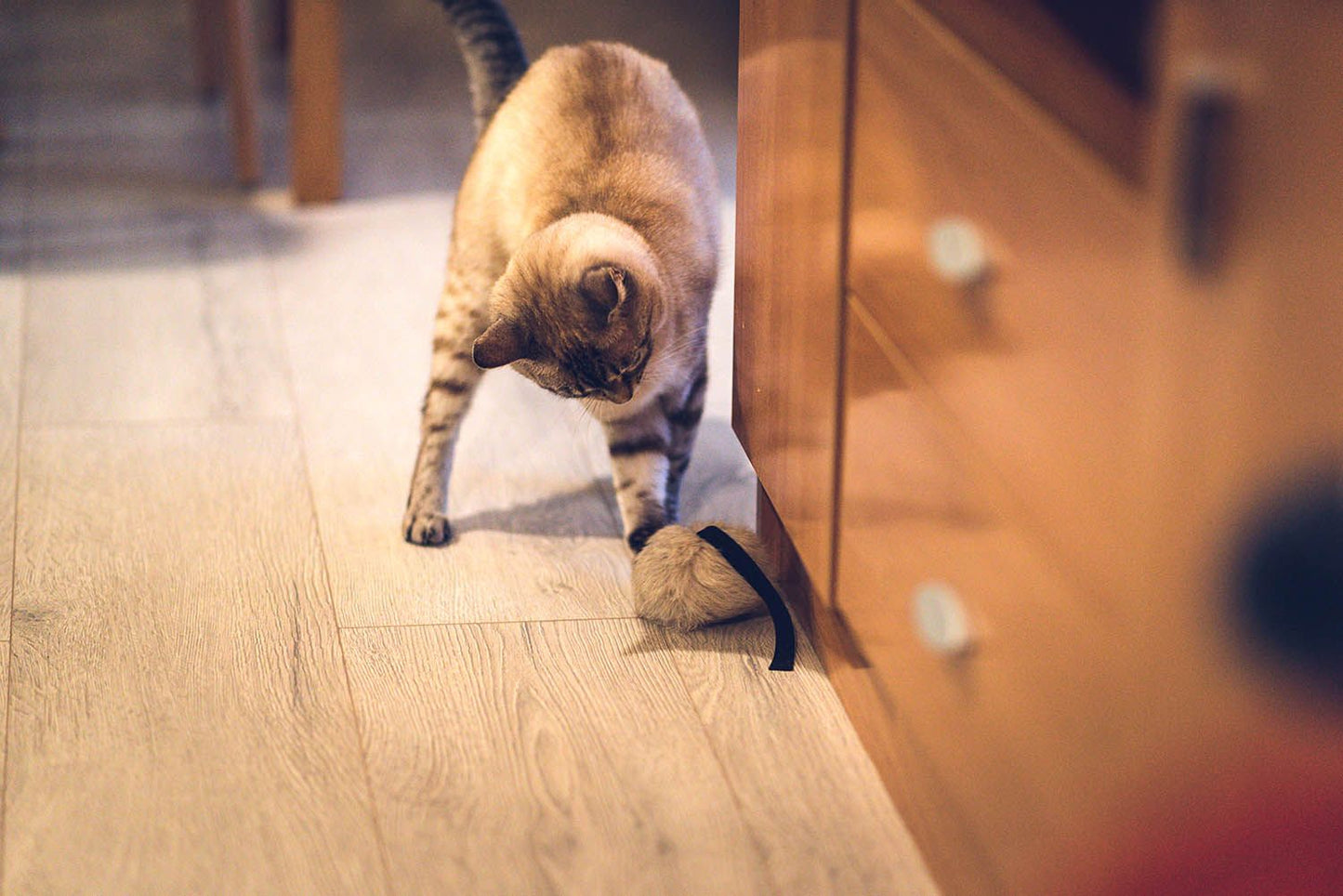 Fellmaus Katzenspielzeug aus echtem Kaninchenfell mit Lederschwanz