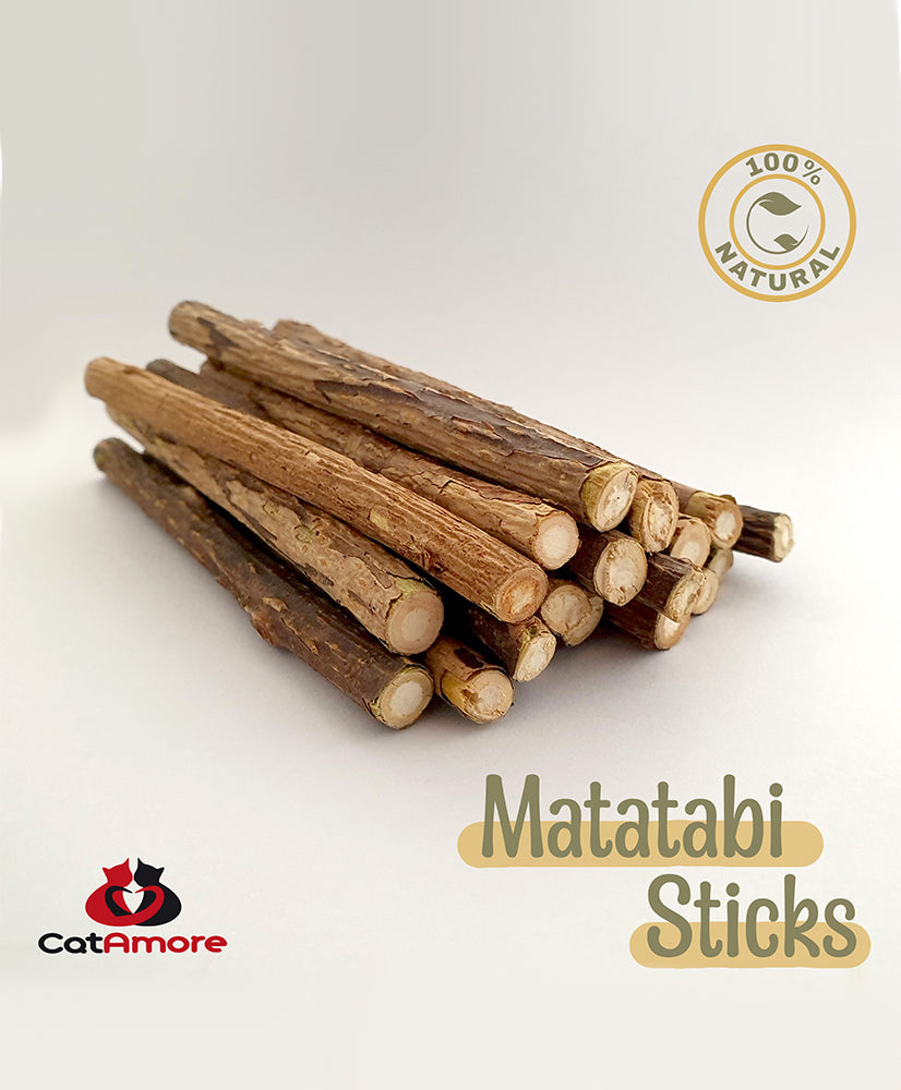 CatAmore 20x Matatabi Sticks für Katzen Zahnpflege Natur aus Matatabi Holz gegen Mundgeruch Katzenspielzeug Zahnreinigung Kauspielzeug