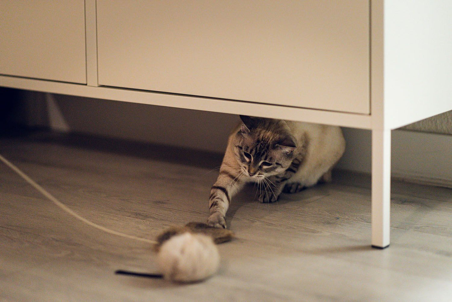Renzo Ratte – Katzenspielzeug aus echtem Kaninchenfell mit Lederschwanz