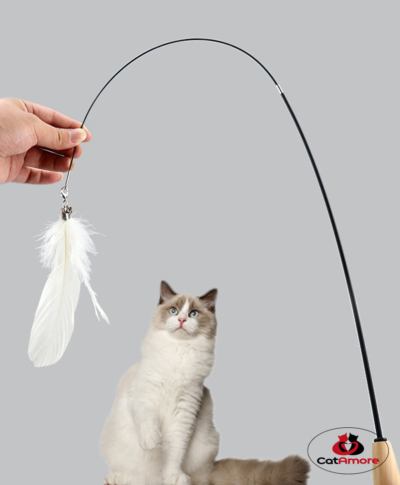 CatAmore Katzenangel mit Federn Spielangel Holzgriff Glöckchen Feder 95 cm lang